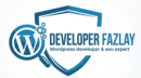 developerfazlay logo
